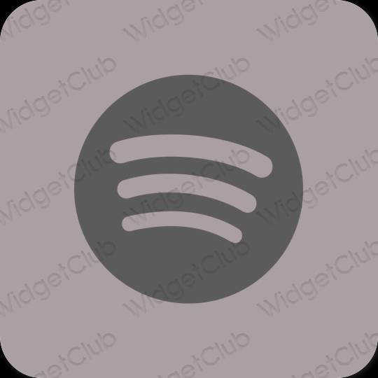 Biểu tượng ứng dụng Spotify thẩm mỹ