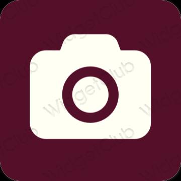 Aesthetic Camera app icons