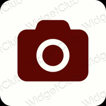 Aesthetic Camera app icons