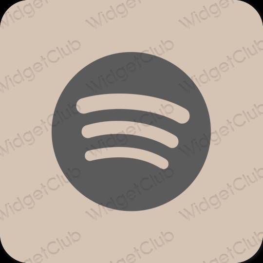 Icônes d'application Spotify esthétiques