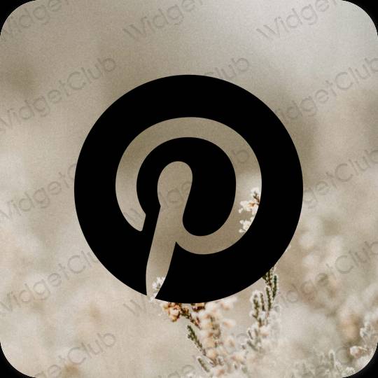 эстетический черный Pinterest значки приложений