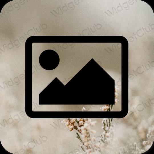 Aesthetic black Photos app icons
