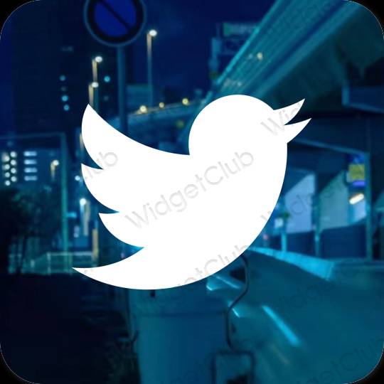 រូបតំណាងកម្មវិធី Twitter សោភ័ណភាព
