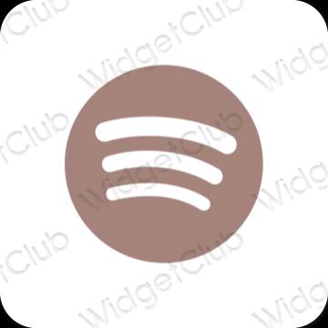 Esthetische Spotify app-pictogrammen