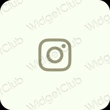 Ästhetische Instagram App-Symbole