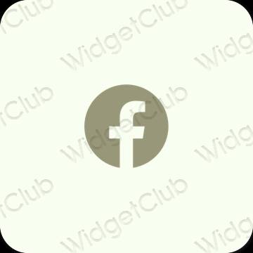 نمادهای برنامه زیباشناسی Facebook