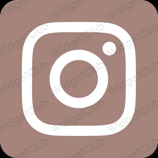 Esteettinen ruskea Instagram sovelluskuvakkeet