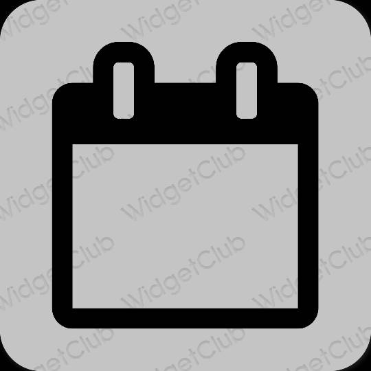 Esthétique grise Calendar icônes d'application
