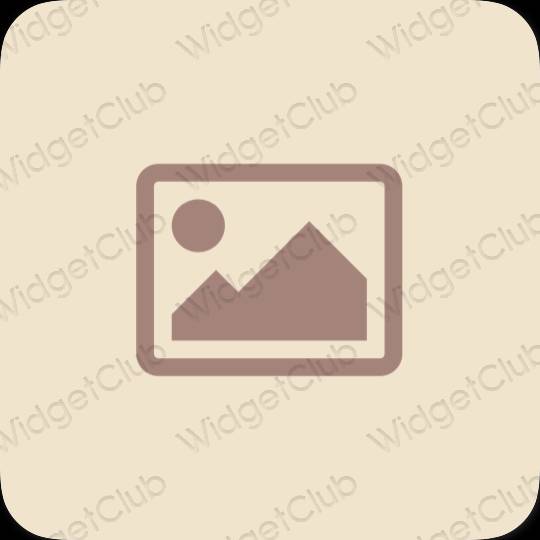 Aesthetic beige Photos app icons