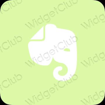 ესთეტიკური Evernote აპლიკაციის ხატები