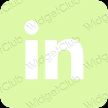 រូបតំណាងកម្មវិធី Linkedin សោភ័ណភាព