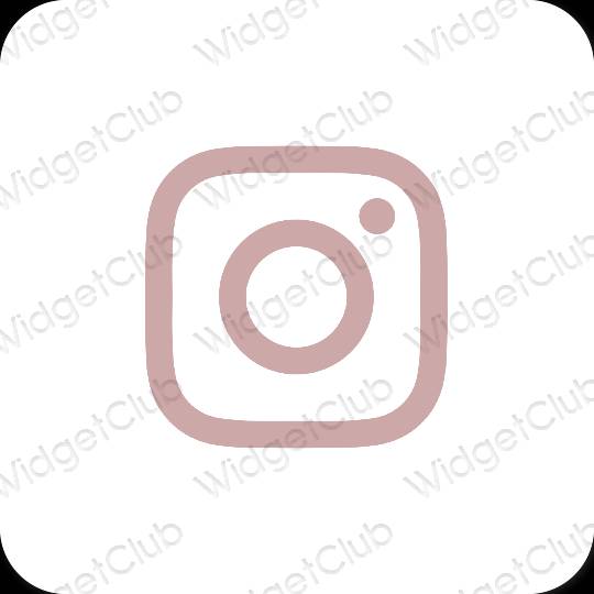 Biểu tượng ứng dụng Instagram thẩm mỹ