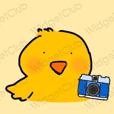 Aesthetic orange Camera app icons