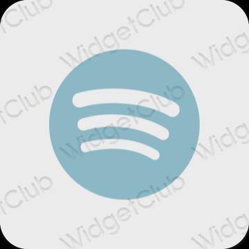 Ästhetisch grau Spotify App-Symbole