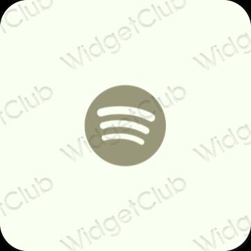 Esthetische Spotify app-pictogrammen