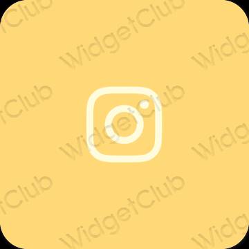 Thẩm mỹ trái cam Instagram biểu tượng ứng dụng