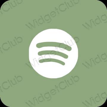 Esthetische Spotify app-pictogrammen