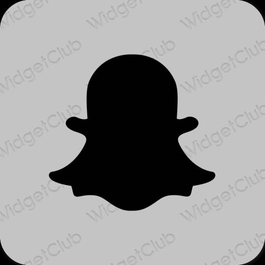 Estetico grigio snapchat icone dell'app