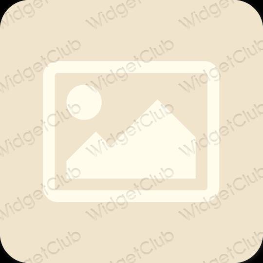Stijlvol beige Photos app-pictogrammen