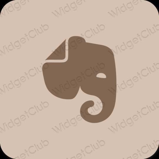 Estetico beige Evernote icone dell'app
