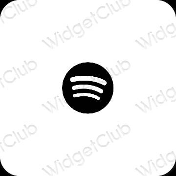 Esthetische Spotify app-pictogrammen