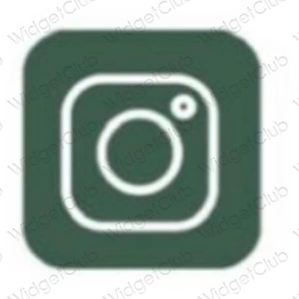 Aesthetic Instagram app icons