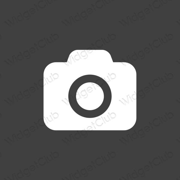 אֶסתֵטִי אפור Camera סמלי אפליקציה