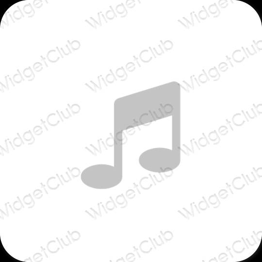 Esthetische Apple Music app-pictogrammen