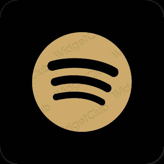 Estetyka brązowy Spotify ikony aplikacji