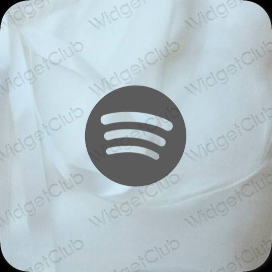 រូបតំណាងកម្មវិធី Spotify សោភ័ណភាព