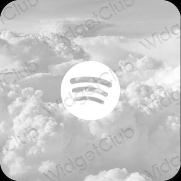 Esthetische Spotify app-pictogrammen