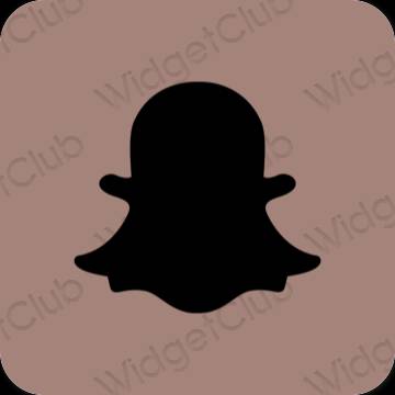 審美的 棕色的 snapchat 應用程序圖標