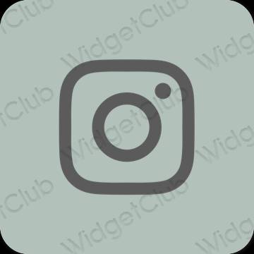 សោភ័ណ បៃតង Instagram រូបតំណាងកម្មវិធី