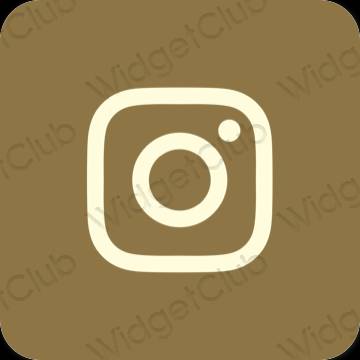 Естетске Instagram иконе апликација