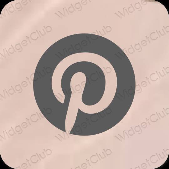 Esthétique grise Pinterest icônes d'application