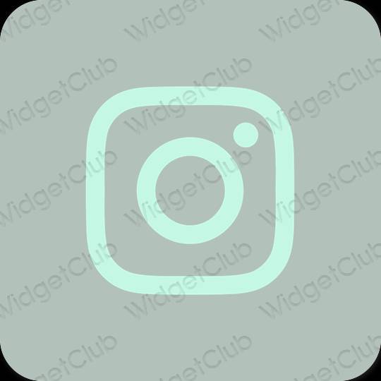 Esztétika zöld Instagram alkalmazás ikonok