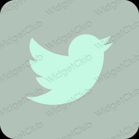 эстетический зеленый Twitter значки приложений