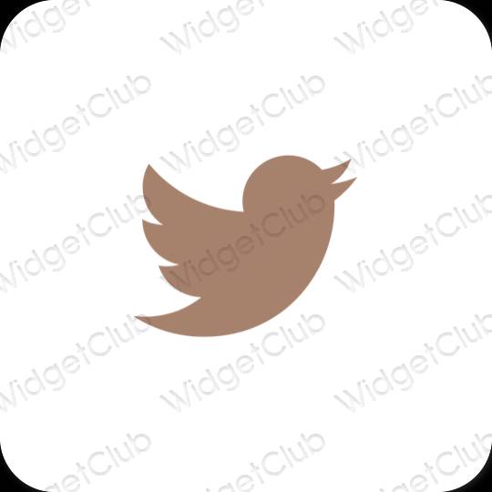 Aesthetic Twitter app icons