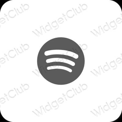 Esthetische Spotify app-pictogrammen