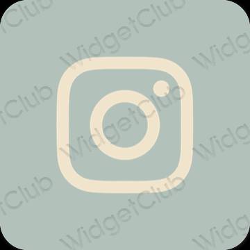 Thẩm mỹ màu xanh lá Instagram biểu tượng ứng dụng