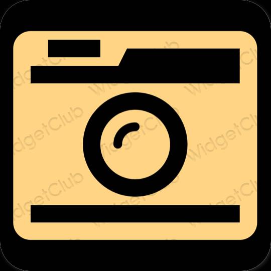 Aesthetic Camera app icons