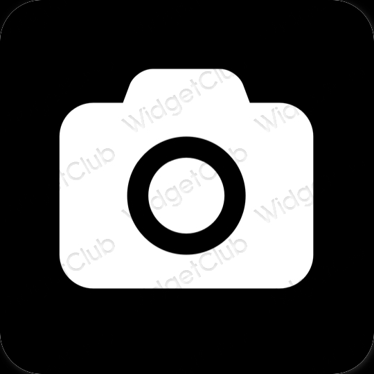 Detective With Camera Icon. Black on White Background With Shadow. Vector  Illustration Stock Vector Image & Art - Alamy