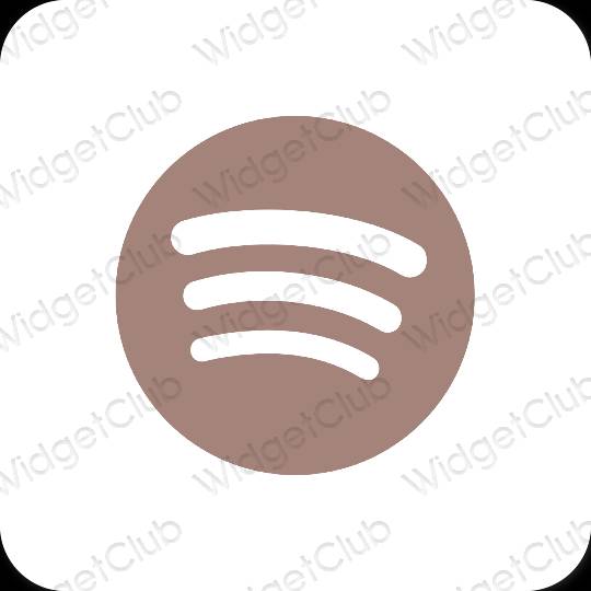 эстетический коричневый Spotify значки приложений
