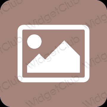 Aesthetic brown Photos app icons