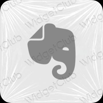 Ikon apl Evernote Estetik