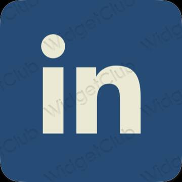 美学Linkedin 应用程序图标
