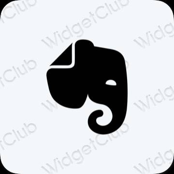 Ikon apl Evernote Estetik