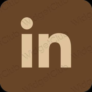 Icônes d'application Linkedin esthétiques