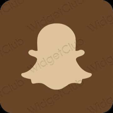 Aesthetic snapchat app icons