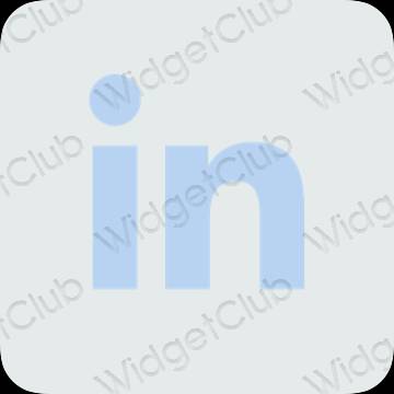 ესთეტიკური Linkedin აპლიკაციის ხატები